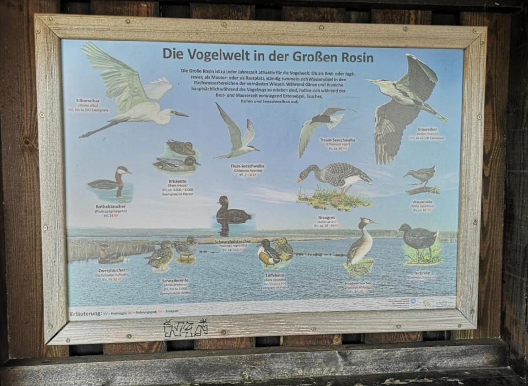 Sommerhaus Verchen Zewnętrze zdjęcie