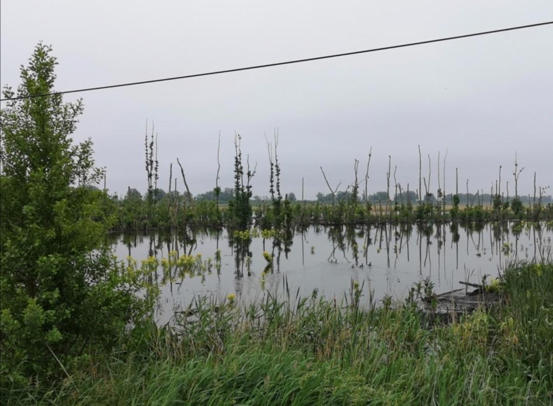 Sommerhaus Verchen Zewnętrze zdjęcie